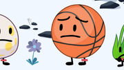 Basketball in TPOT 4