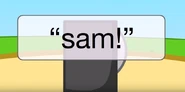 "So is Sam... whoever Sam is." -Announcer