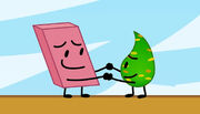 Teardrop in TPOT 8