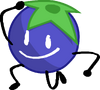 Blueberry