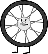 carys bike wheel; Connor S.