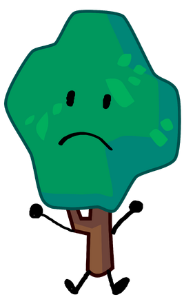 Spruce Tree