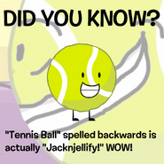 "A collection of BFDI "Did You Know?" posts, in all their glory. (3/5)