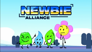 Newbie alliance team