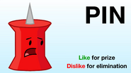 Pin