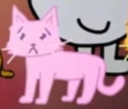 Pink Cat