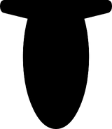 Eye Eyelid Middle