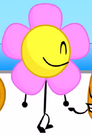 Flower allowed on to dream island