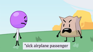 Sick airplane passenger