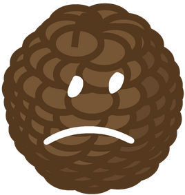 BFB 12-15