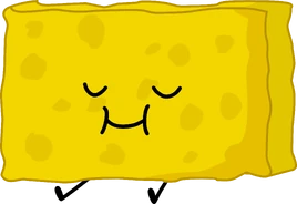 Spongy | Battle for Dream Island Wiki | Fandom