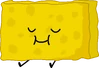 Spongy (13th)