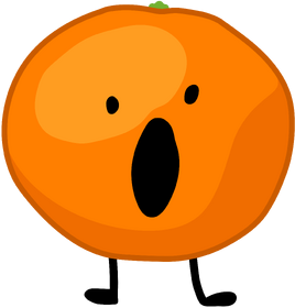 BFB 6