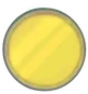 10body yellowbutton.png (18 KB) Yellow Button