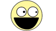 Vote Face