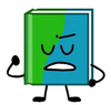 Book bfb 3