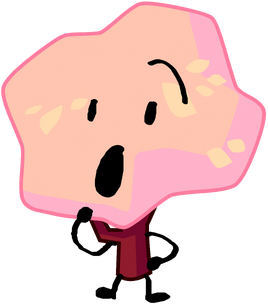 BFB 15