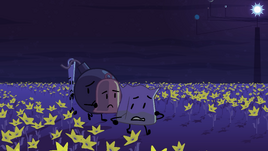 One's field