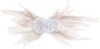 Ant Nebula (It appears many times in the BFDIA 6 falling scenes)