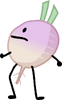 Turnip