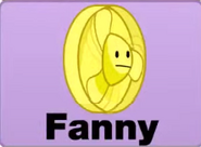 Fanny mini