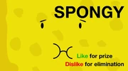 MeatyVotingVideo Spongy