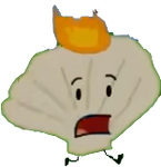 Ditto, but on fire because of Firey