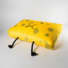 Another angle of the Spongy Plush as seen on the BFDI website