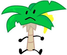 BFB 15