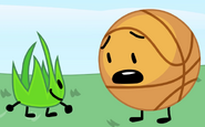 Grassy ignores basketball