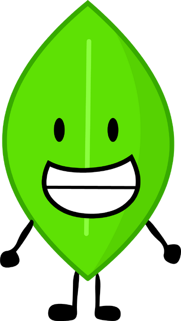 Leafy from bfdi