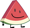 Watermelon Slice