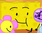 Spongecrop7