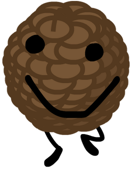 BFB 14 (Third Batch)
