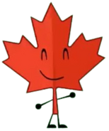 Red maple leaf; Pienyster_276