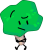 2018-2021