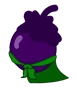 9body caperberry.png (40 KB) Caper Berry