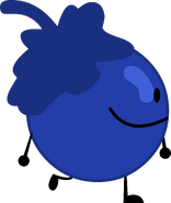 Blueberry; shyguywarrior