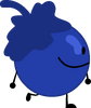 Blueberry; shyguywarrior