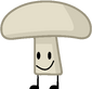 Mushroom; superhyperguy