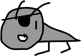 Pirate naily