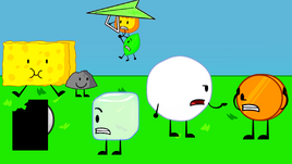 Bfdi27