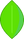 Leafy Icon