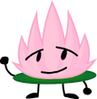 Lotus Flower
