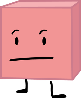 BFB 13
