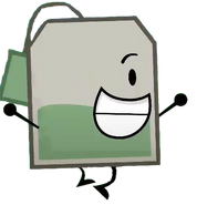 Tea Bag; Hamburger
