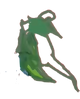 Grassy