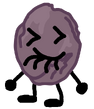 Raisin