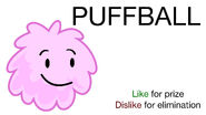 Voting of Puffball BFDIA 5e