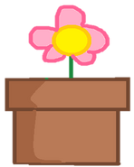 Flower Pot